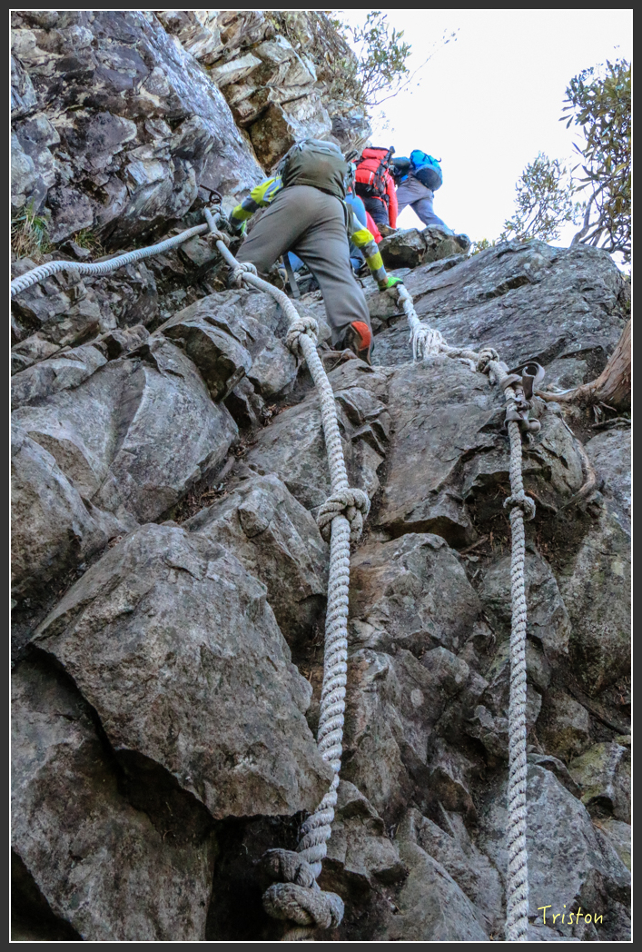 IMG_0563.jpg - 20151219 鳶嘴稍來山、小雪山林道