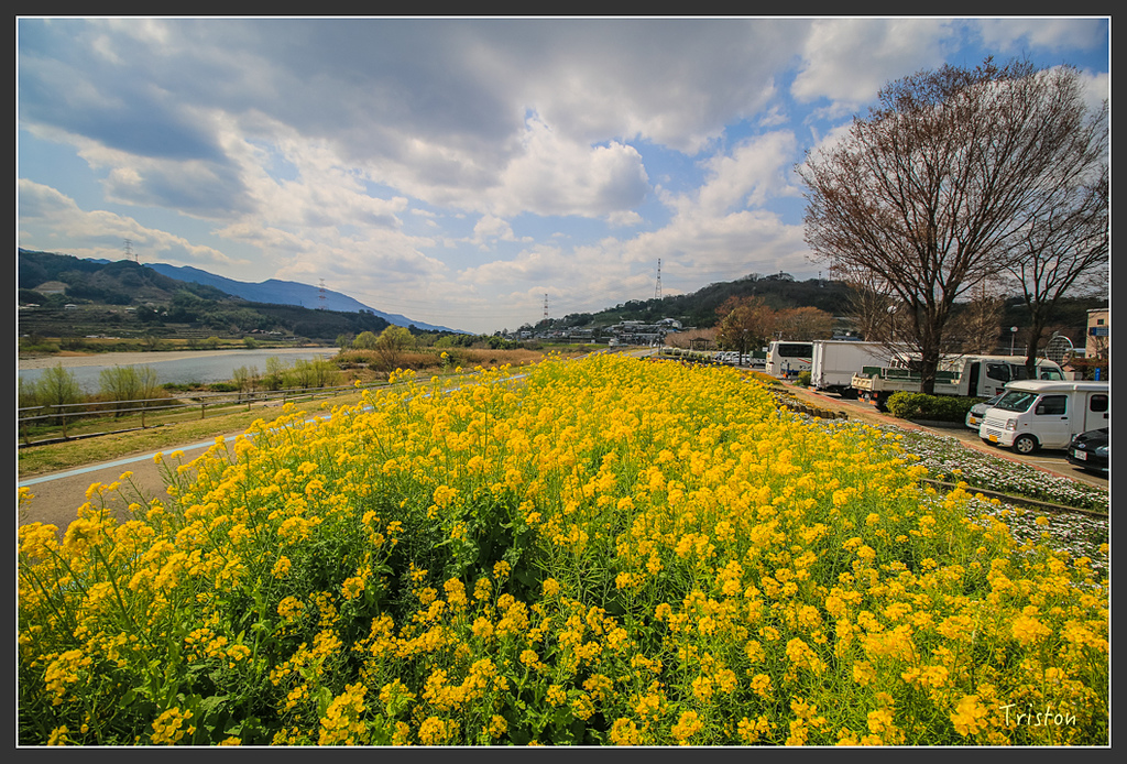 IMG_4468.jpg - 20160323 日本熊野古道健行