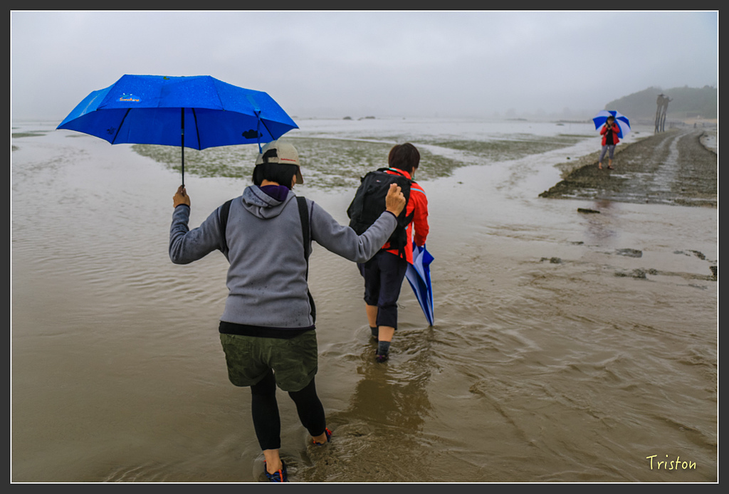 IMG_6945.jpg - 20160409 武夷山之旅