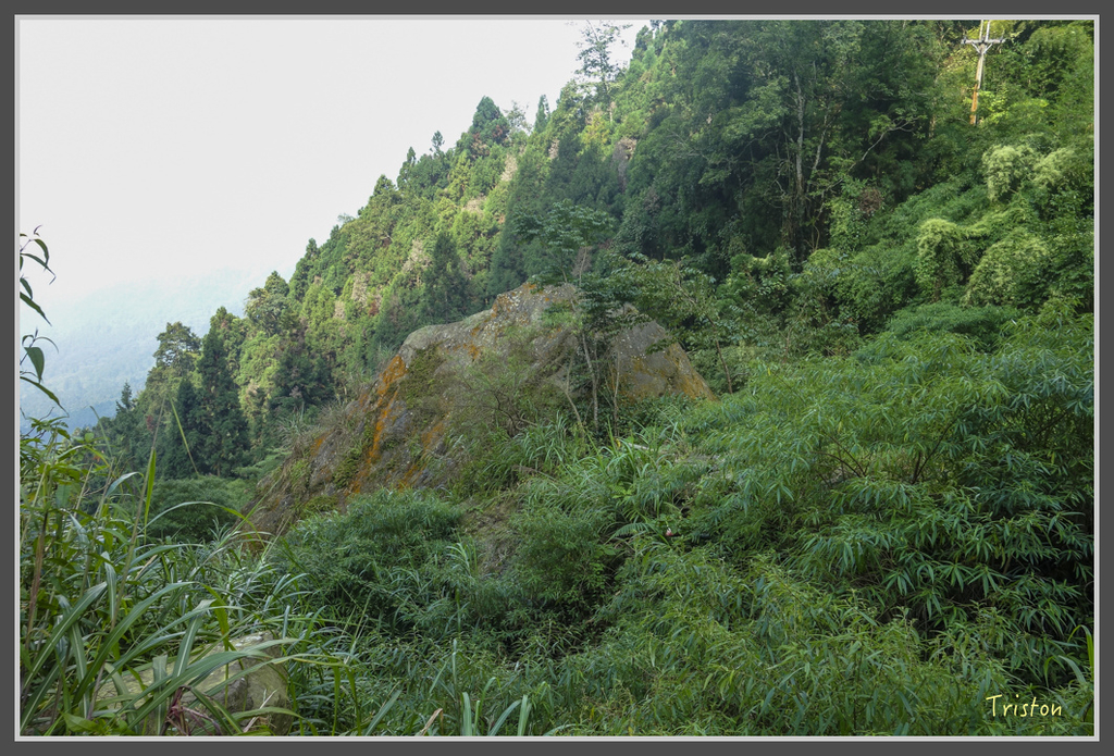 DSC00825.jpg - 20160924 溪頭台寅山