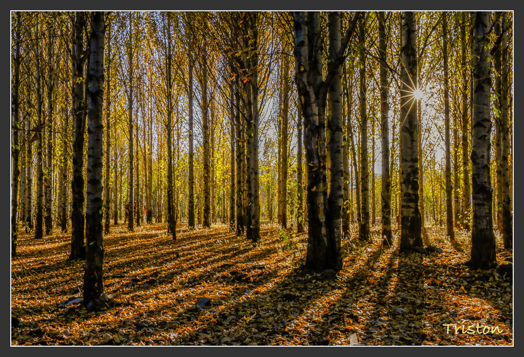 _MG_2424.jpg - 20161013 稻城亞丁