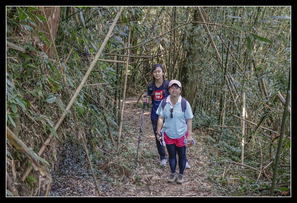 _MG_0075.jpg - 20170408 瑞太古道