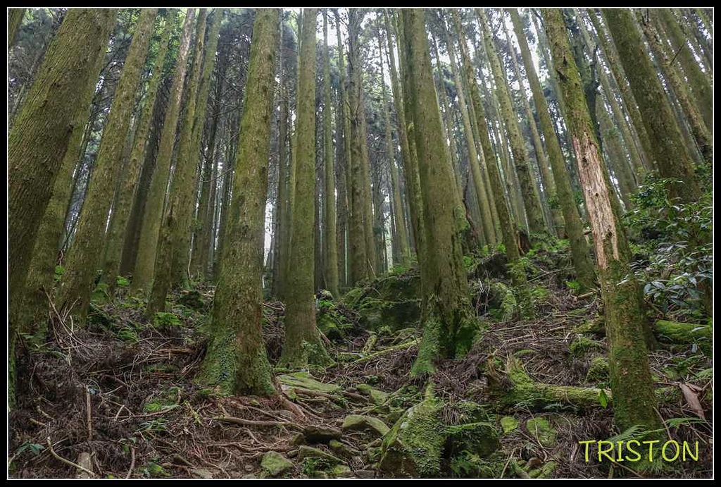 _MG_0073.jpg - 20170920 加里山