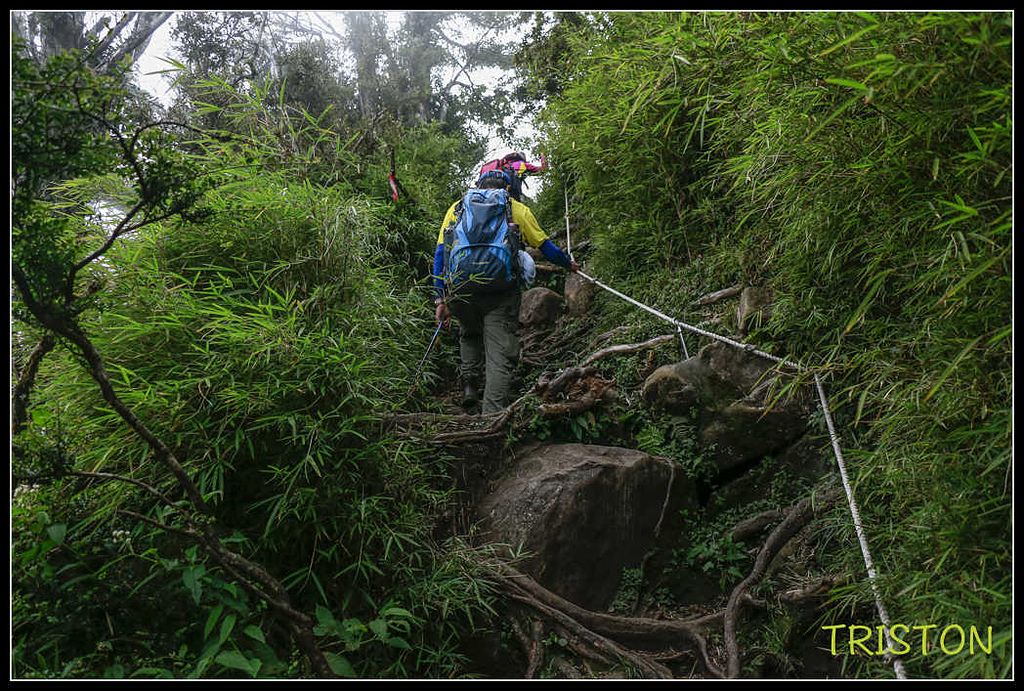 _MG_0123.jpg - 20170920 加里山