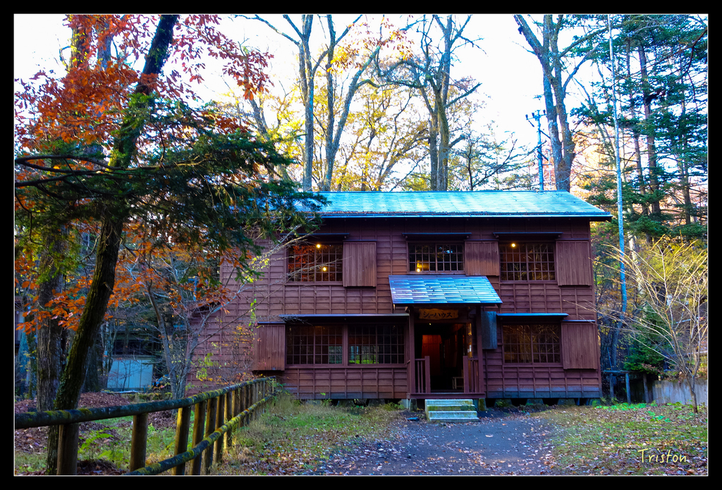 DSC00442.jpg - 20151031 秋天的童話-貴婦東京輕井澤紀行