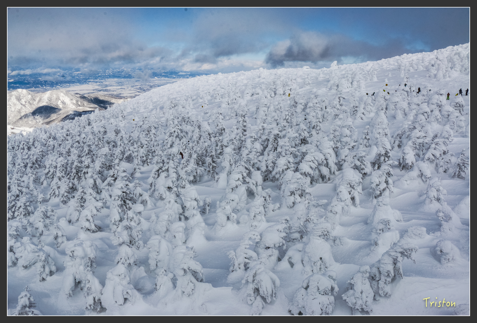 2016ZAO-01695.jpg - 20160131 日本藏王溫泉滑雪親子行