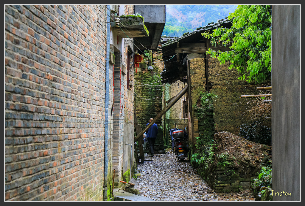 IMG_6673.jpg - 20160409 武夷山之旅