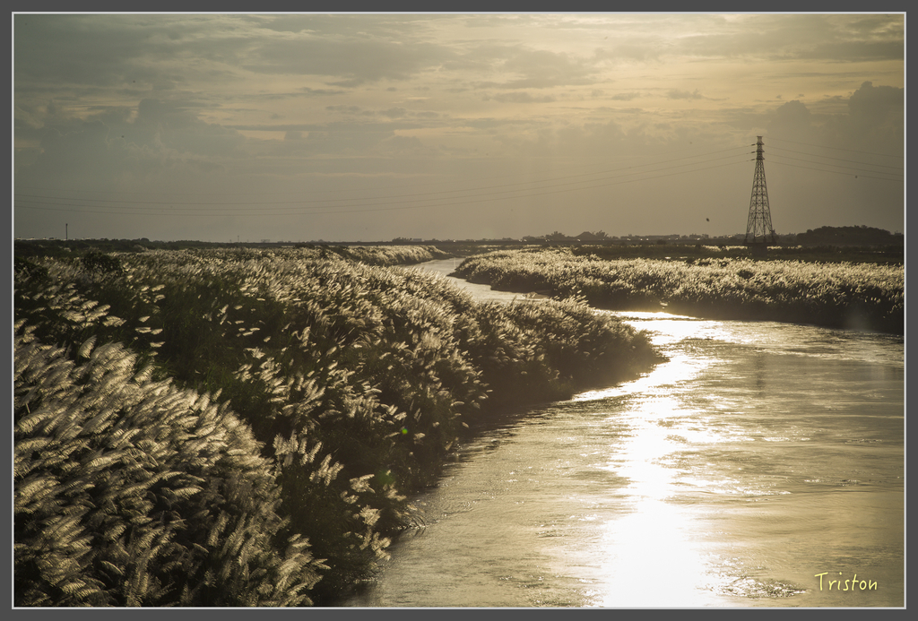 jh1a9942_29616894661_o.jpg - 20160929 八掌溪菅芒花+奇美博物館夕陽