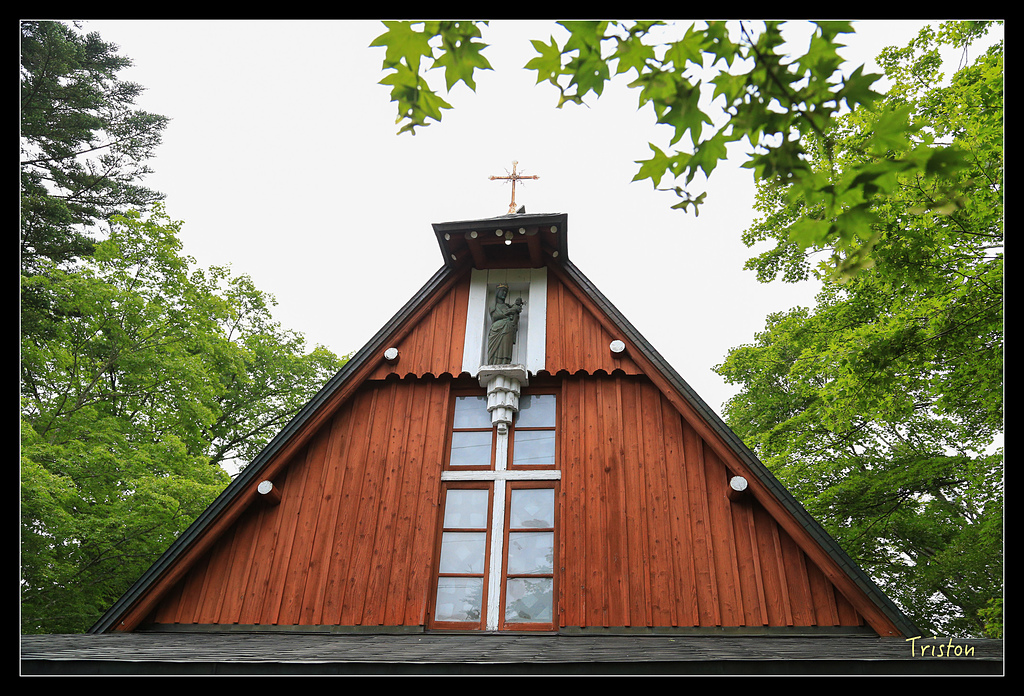 JH1A9399.jpg - 20150628 東京輕井澤日光