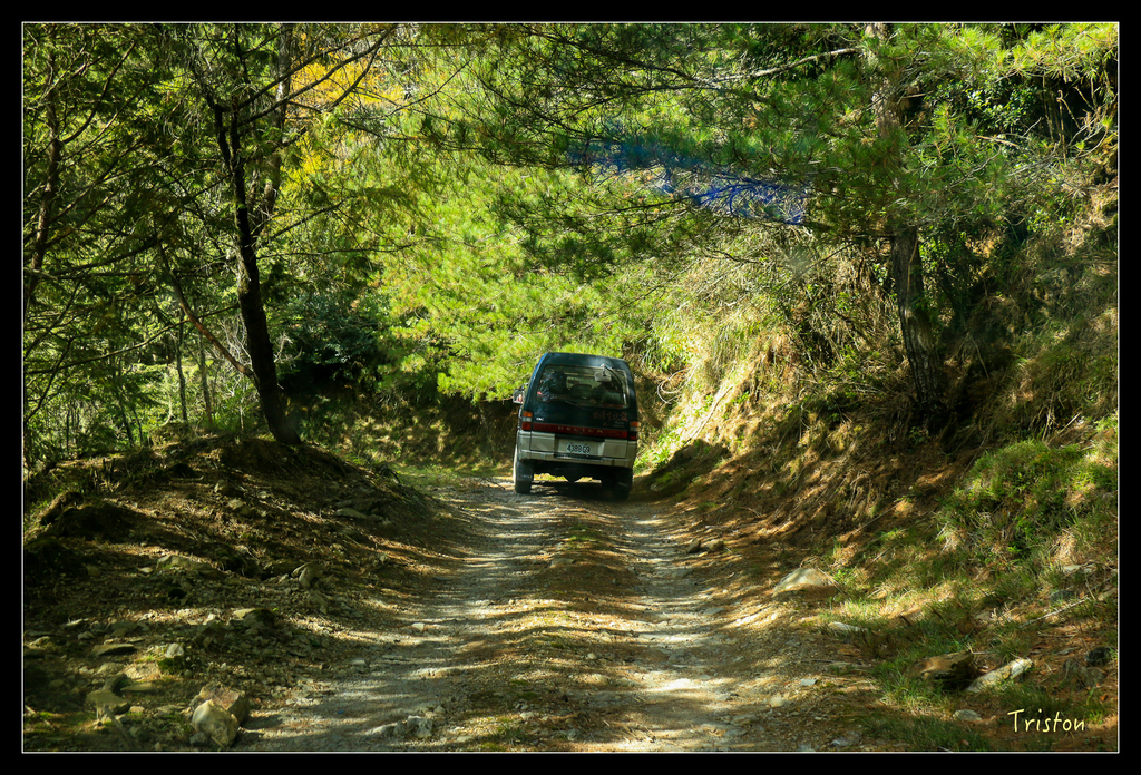 IMG_8595.jpg - 20151017 郡大林道、望鄉山、郡大山