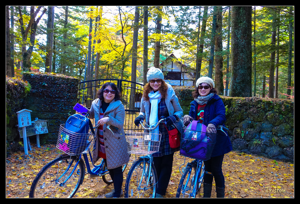 DSC00400.jpg - 20151031 秋天的童話-貴婦東京輕井澤紀行