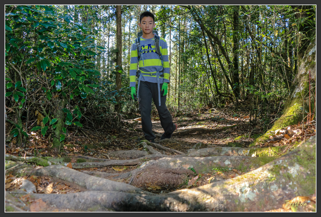 IMG_0612.jpg - 20151219 鳶嘴稍來山、小雪山林道