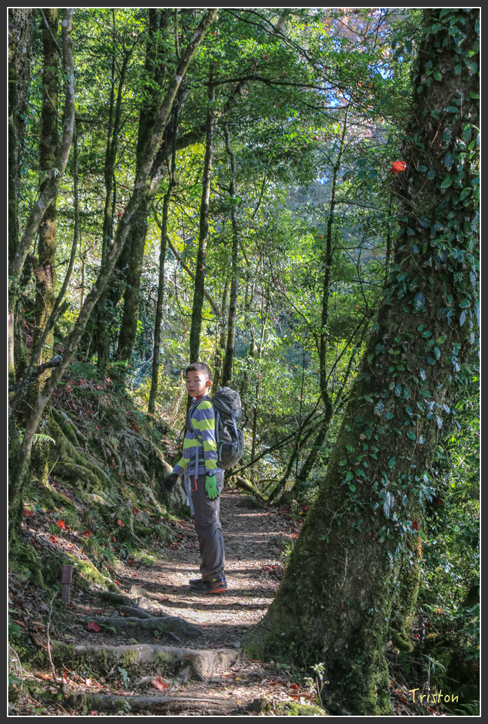 IMG_0708.jpg - 20151219 鳶嘴稍來山、小雪山林道