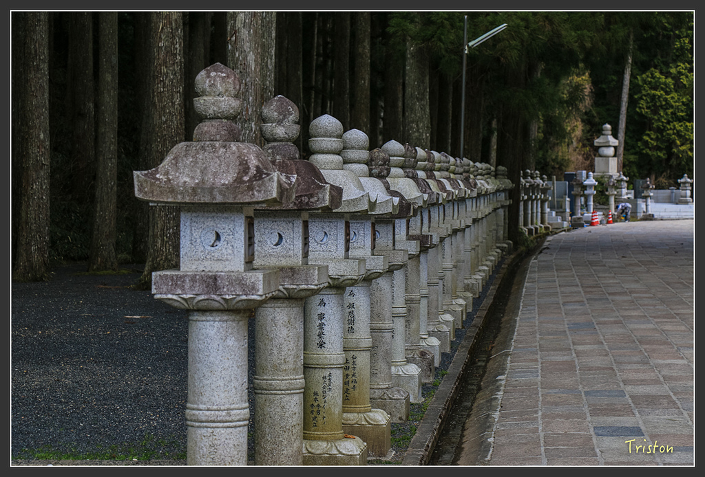 IMG_4584.jpg - 20160323 日本熊野古道健行