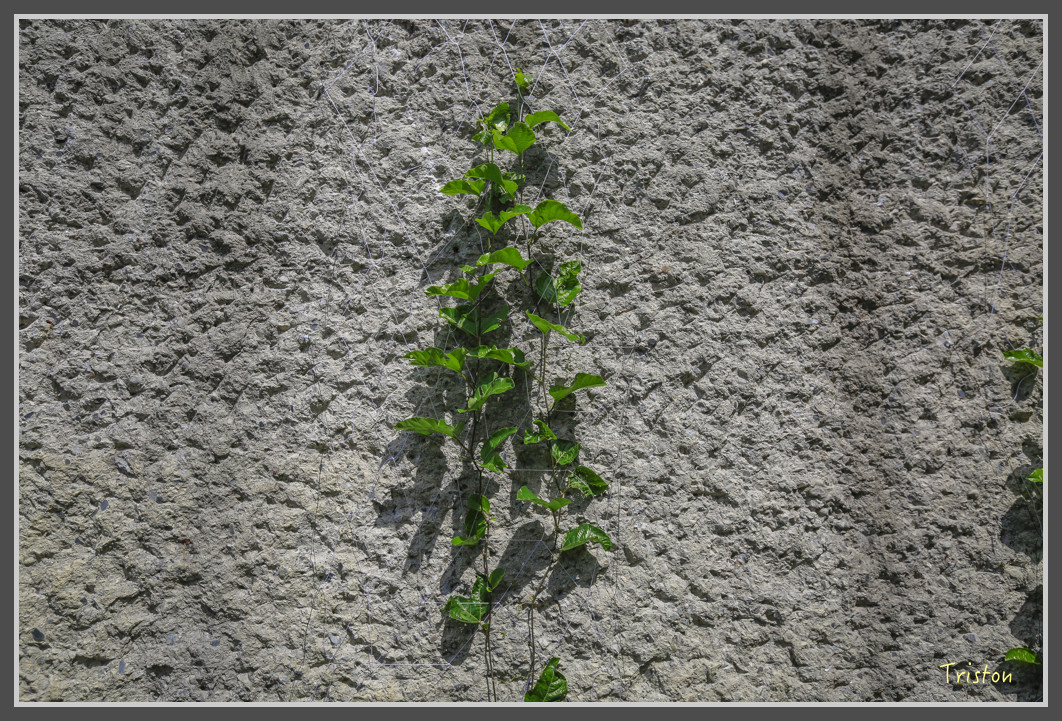 176 JH1A9977.jpg - 20160801 父子親子遊東北角