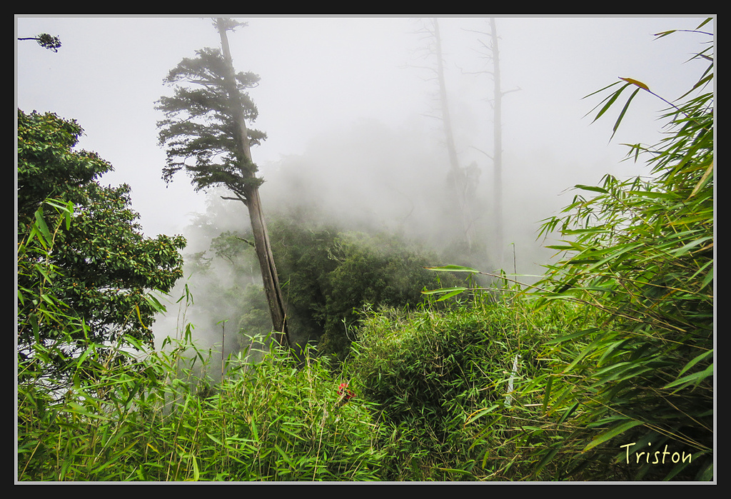 IMG_1435.jpg - 20170318 守關山、守城大山