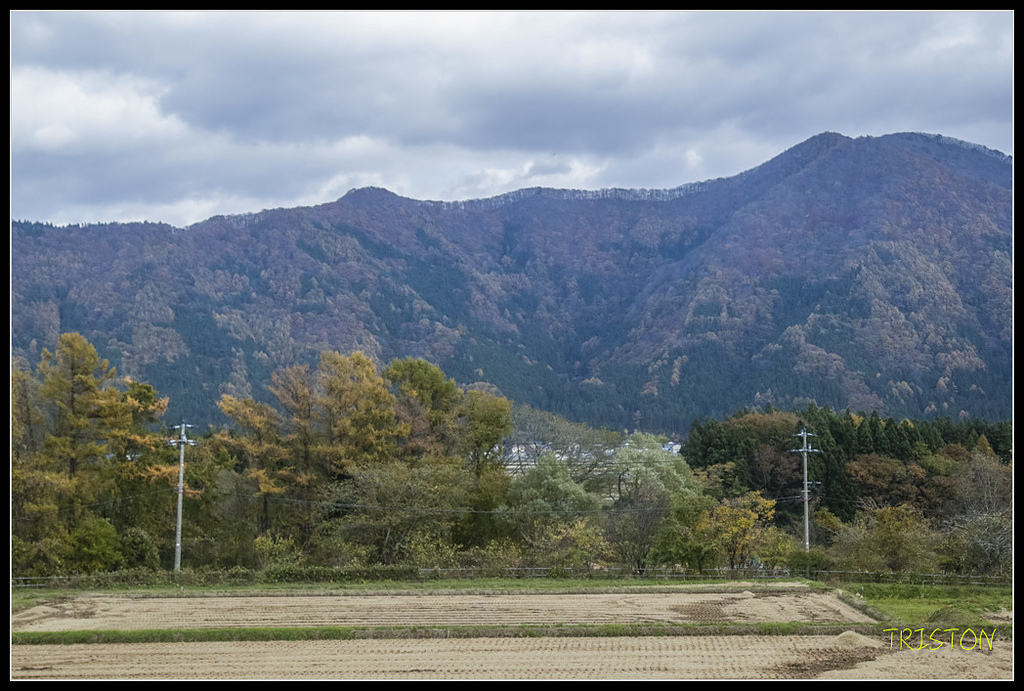 _H1A1429.jpg - 20171103 日本只見線、會津若松五色沼、昭和記念公園賞紅葉