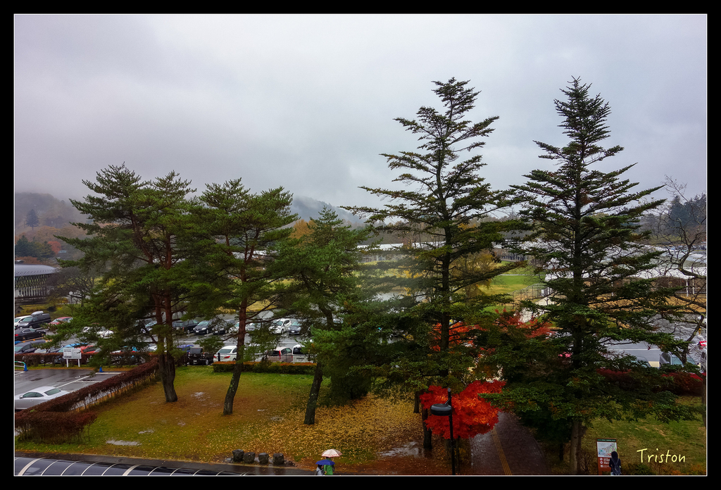 DSC00230.jpg - 20151031 秋天的童話-貴婦東京輕井澤紀行