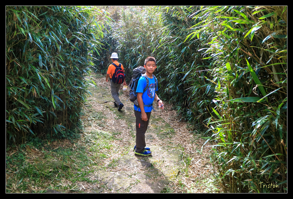 IMG_0413.jpg - 20151107 富士坪古道