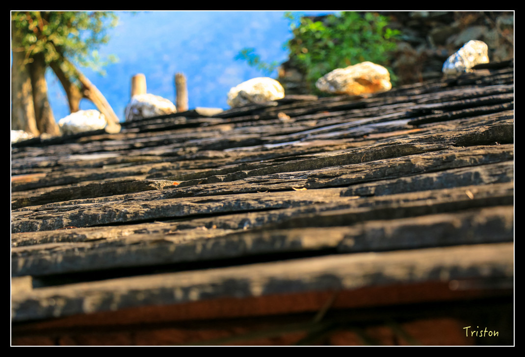 IMG_9497.jpg - 20151202 老七佳部落