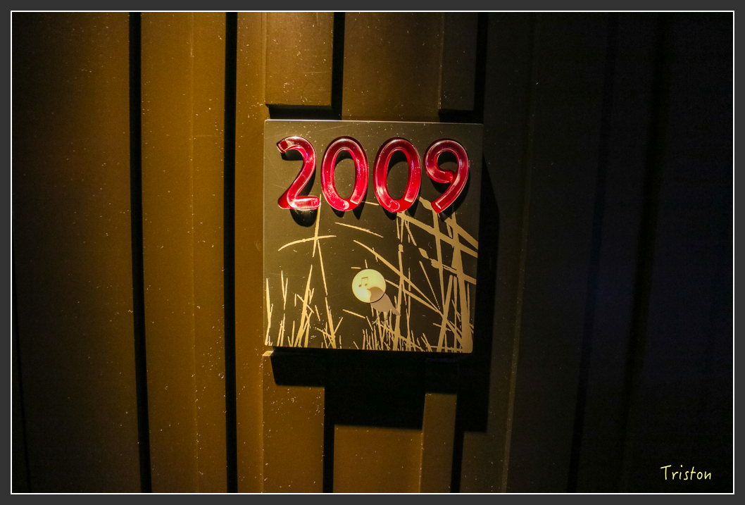 IMG_1765.jpg - 20160210 文華東方和W Hotel