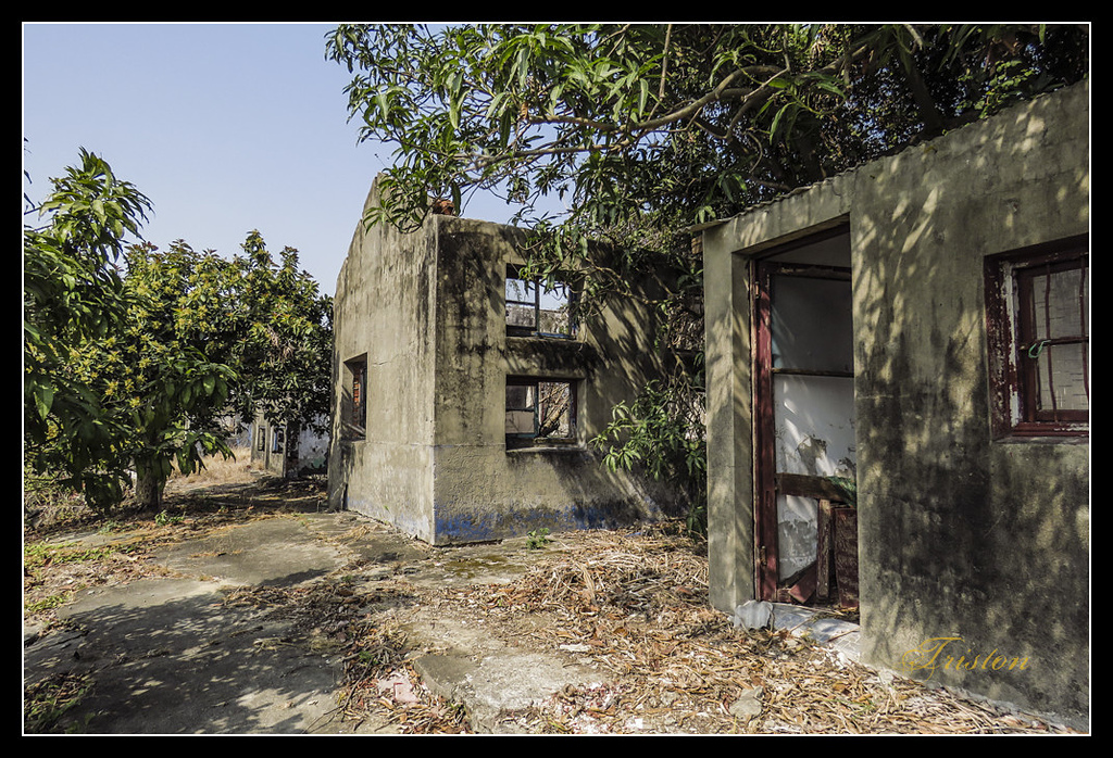 IMG_0043.jpg - 20170327 二層行溪鐵橋+環頸雉