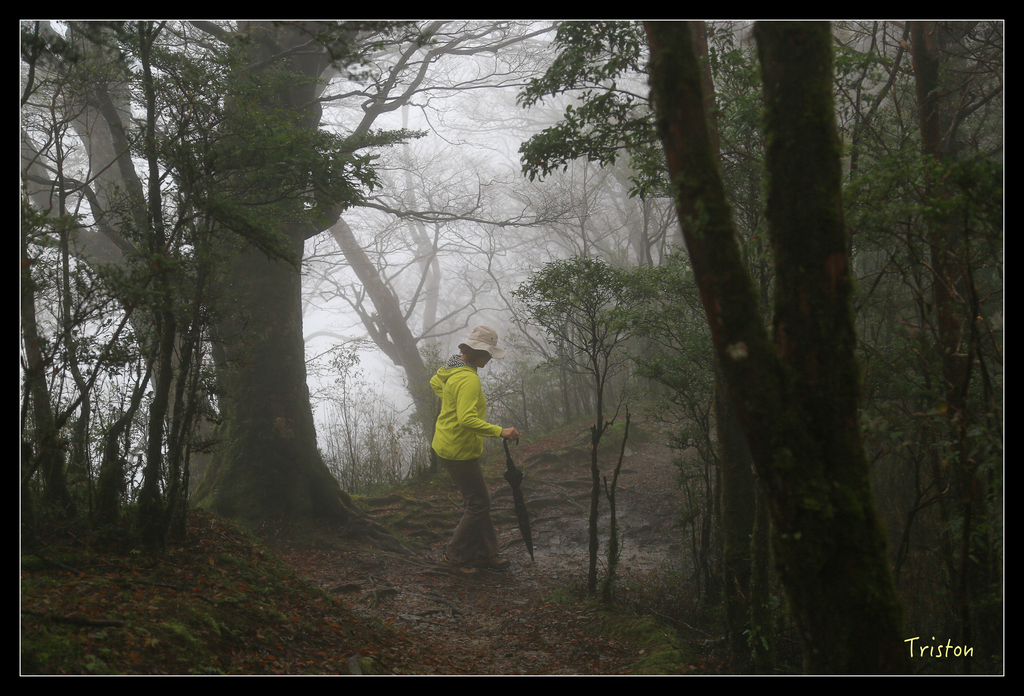 JH1A0187.jpg - 20151024~25 幾米公園、翠峰湖、翠峰山屋、望洋山步道、山毛櫸步道