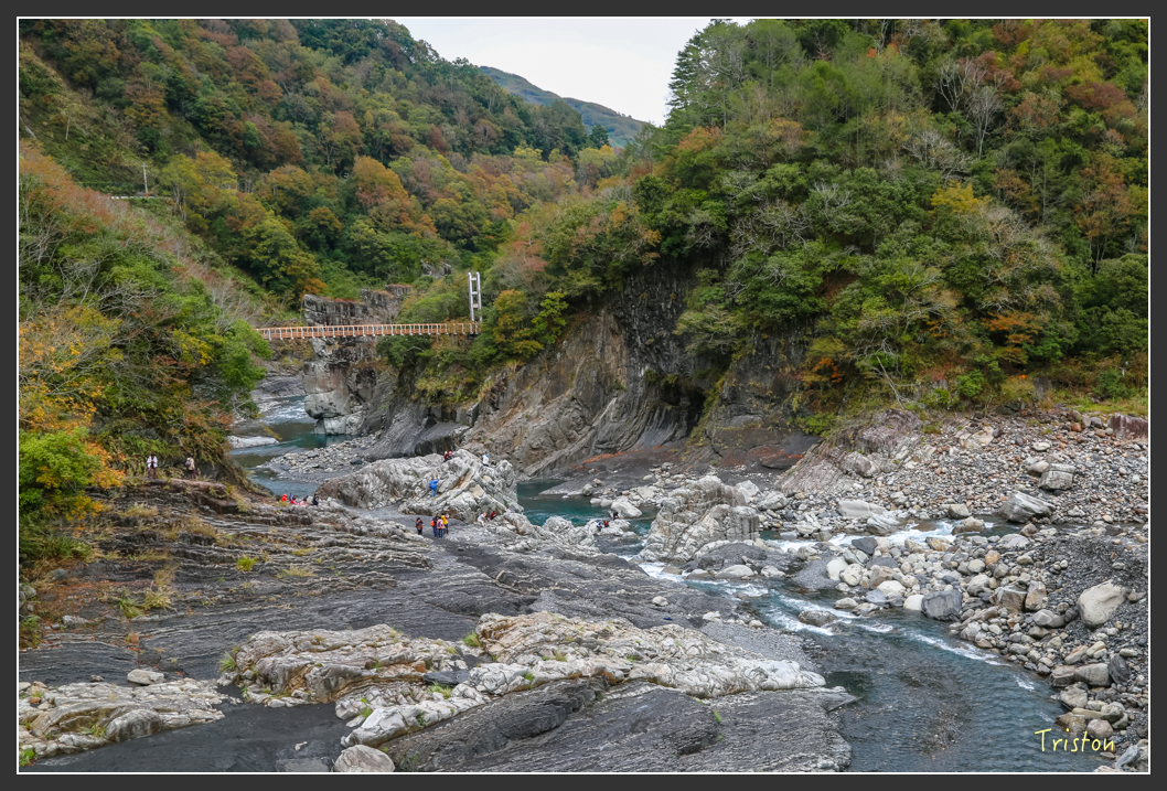 JH1A1308.jpg - 20151221 新竹秀巒賞楓