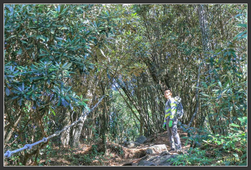 IMG_0439.jpg - 20151219 鳶嘴稍來山、小雪山林道