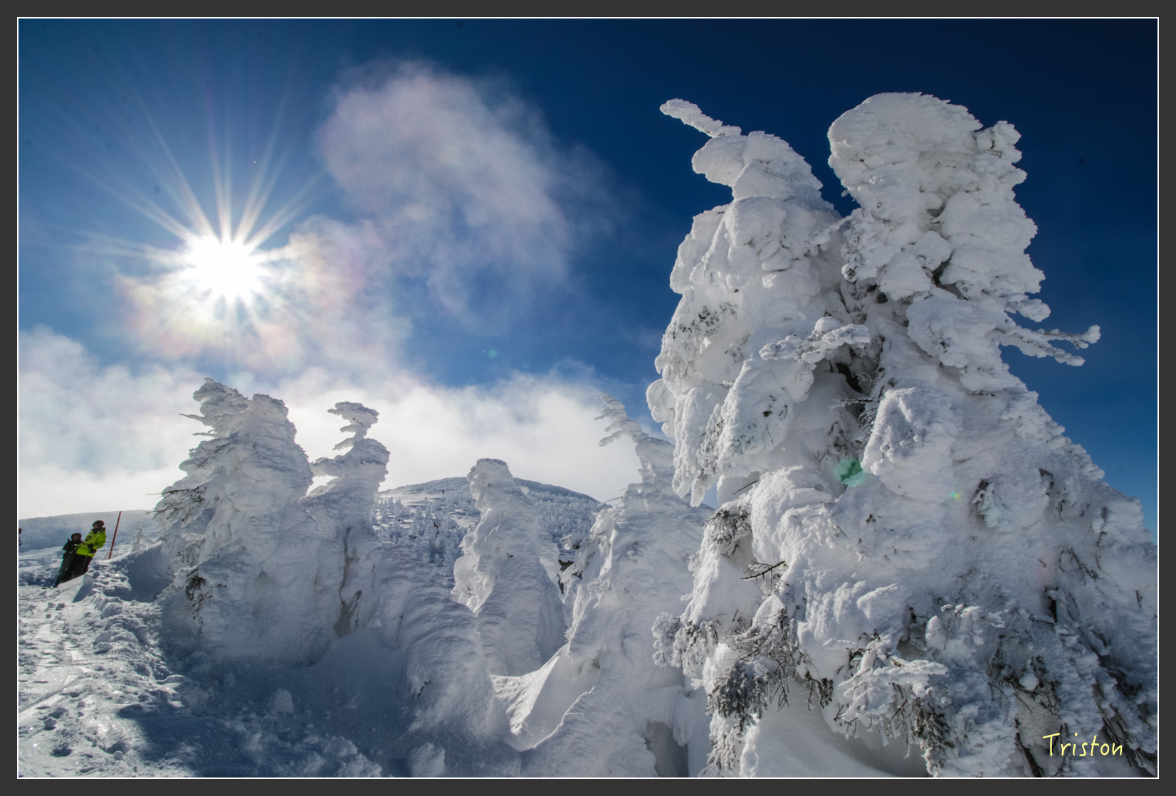 2016ZAO-01592.jpg - 20160131 日本藏王溫泉滑雪親子行