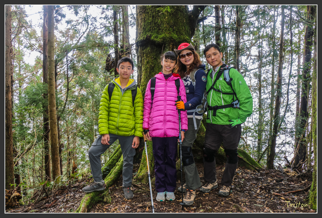 IMG_3466.jpg - 20160227 觀霧森林步道