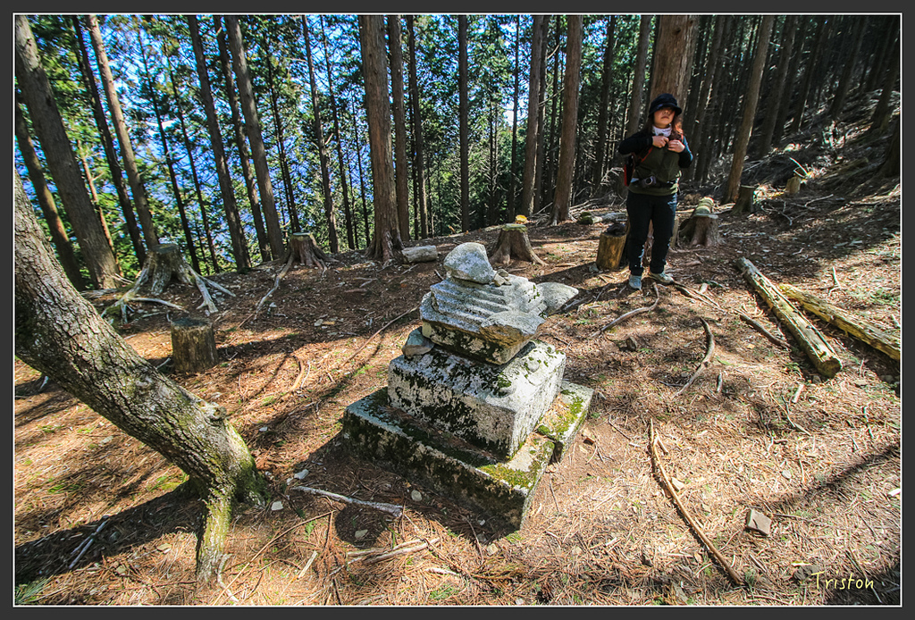 IMG_4737.jpg - 20160323 日本熊野古道健行