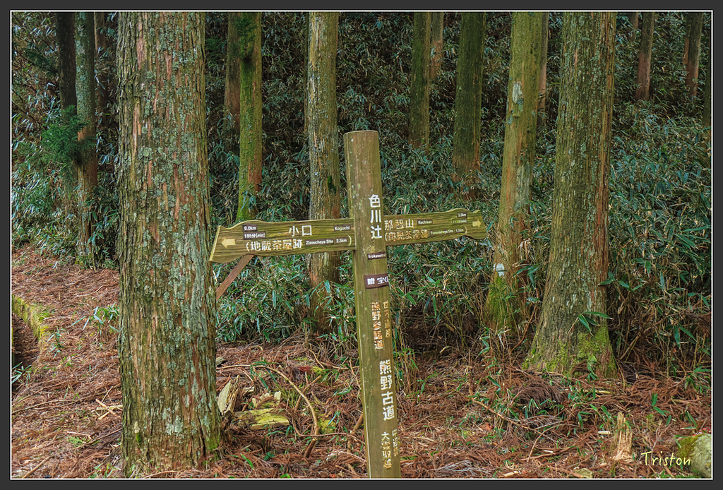IMG_5542.jpg - 20160323 日本熊野古道健行