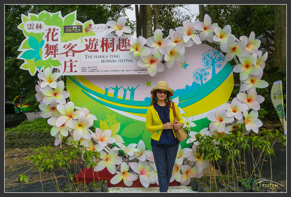 JH1A8833.jpg - 20160426 銅鑼天空步道、天空之城、荷苞山