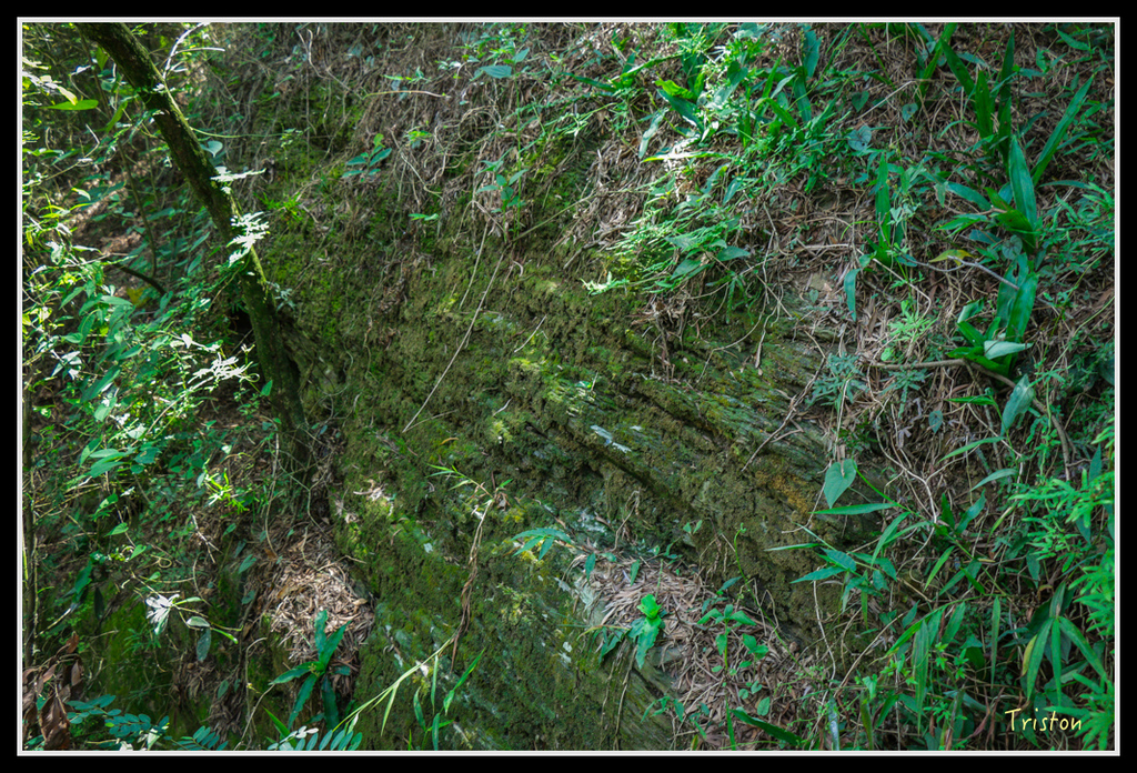 IMG_7292.jpg - 20160531 屏東笠頂山