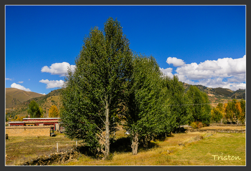 _MG_1536.jpg - 20161013 稻城亞丁