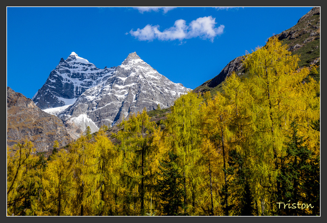 _MG_0608.jpg - 20161013 稻城亞丁