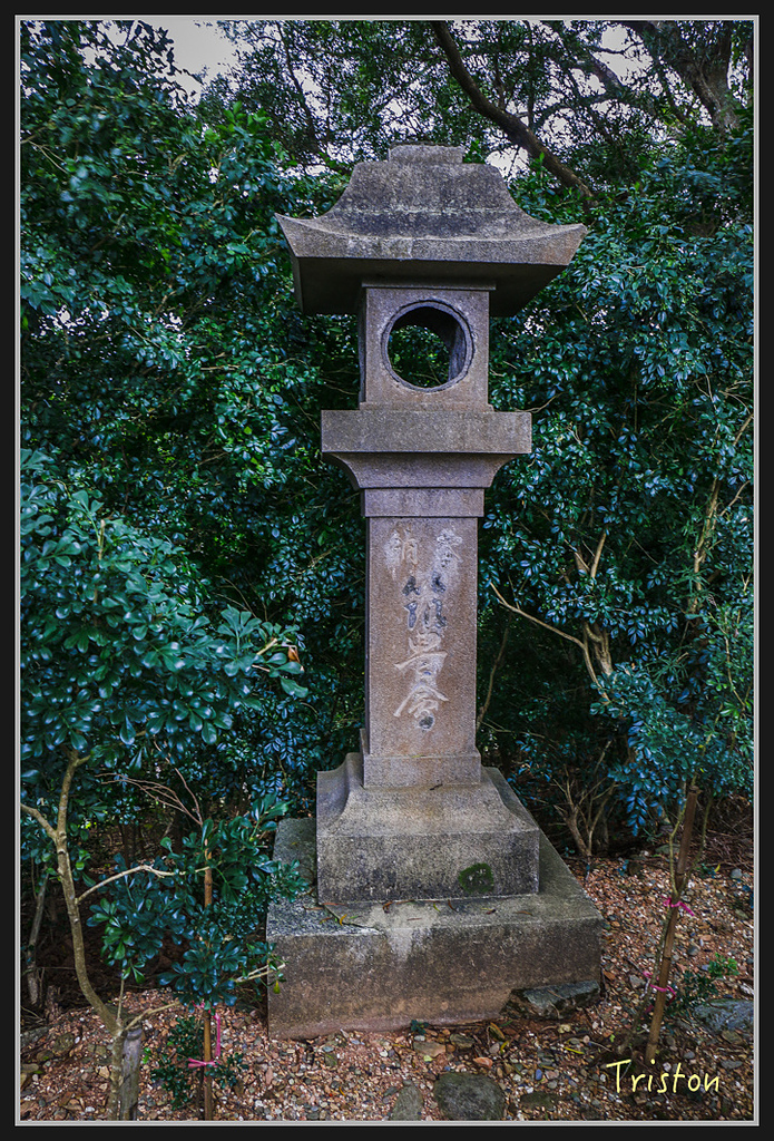 2017-02-27 10.03.53 下午 _MG_0084.jpg - 20170225 玉里瓦拉米