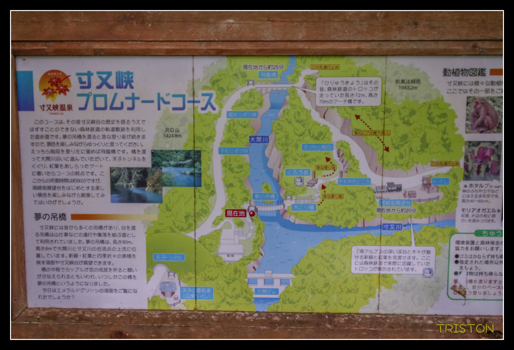 _MG_0723.jpg - 20170702 靜岡東海道之旅