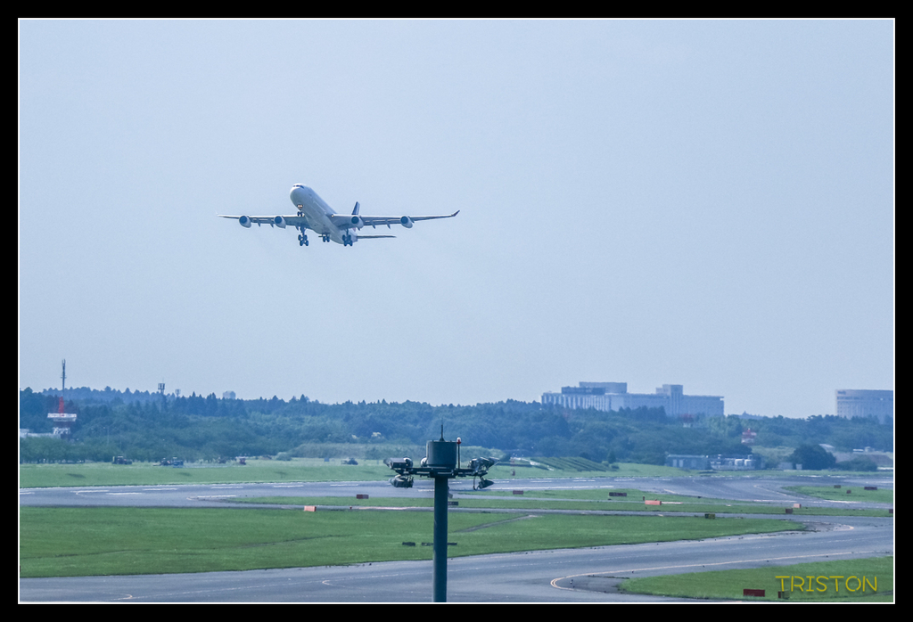 _MG_2000.jpg - 20170702 靜岡東海道之旅