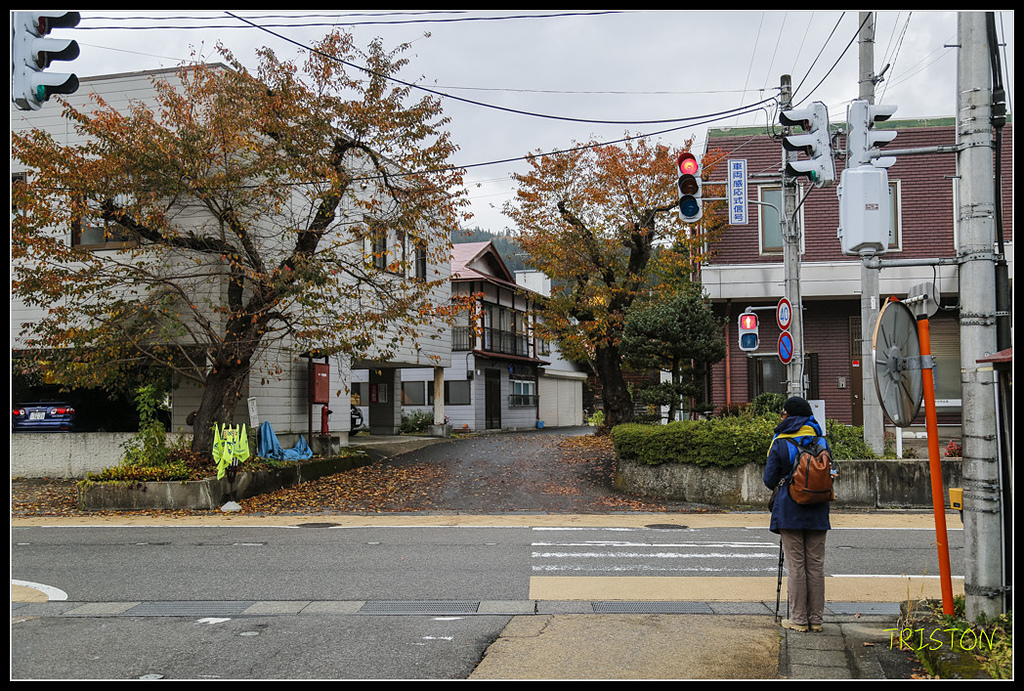 _H1A0687.jpg - 20171103 日本只見線、會津若松五色沼、昭和記念公園賞紅葉
