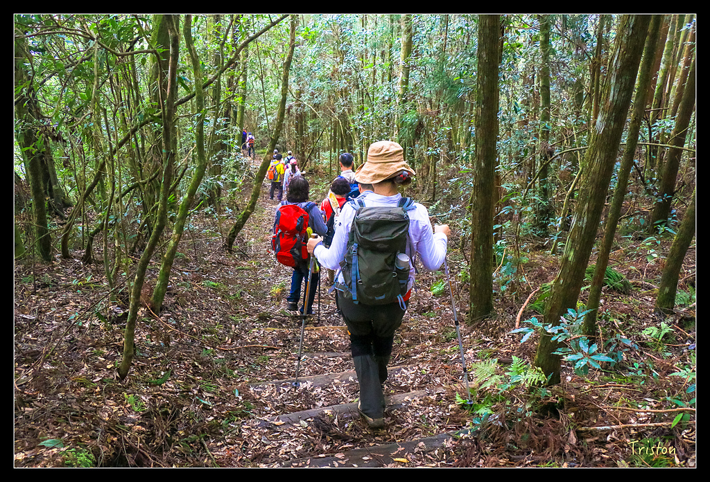 IMG_8353.jpg - 20150926 大凍山切霹靂山 抵龍雲山莊