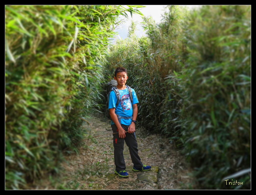 IMG_0421.jpg - 20151107 富士坪古道