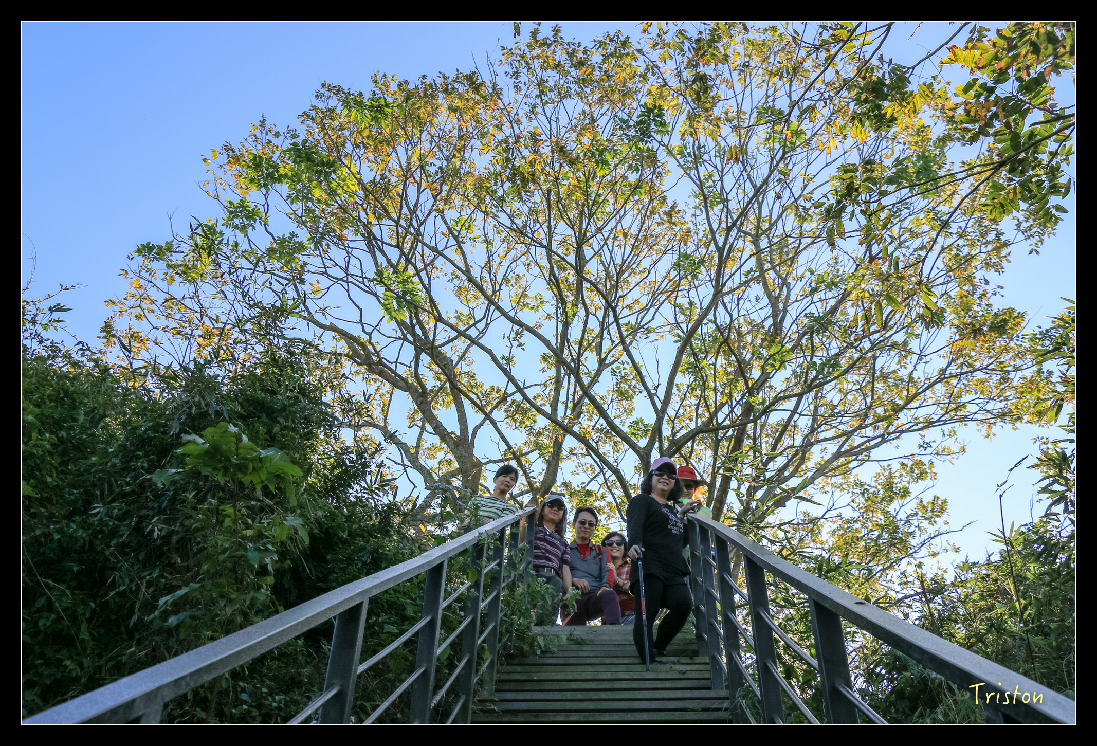 IMG_0322.jpg - 20151214 林內龍過脈步道