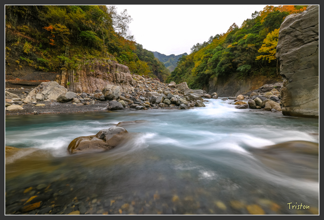 JH1A1430.jpg - 20151221 新竹秀巒賞楓