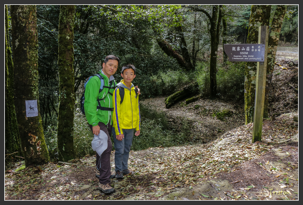 IMG_3418.jpg - 20160227 觀霧森林步道