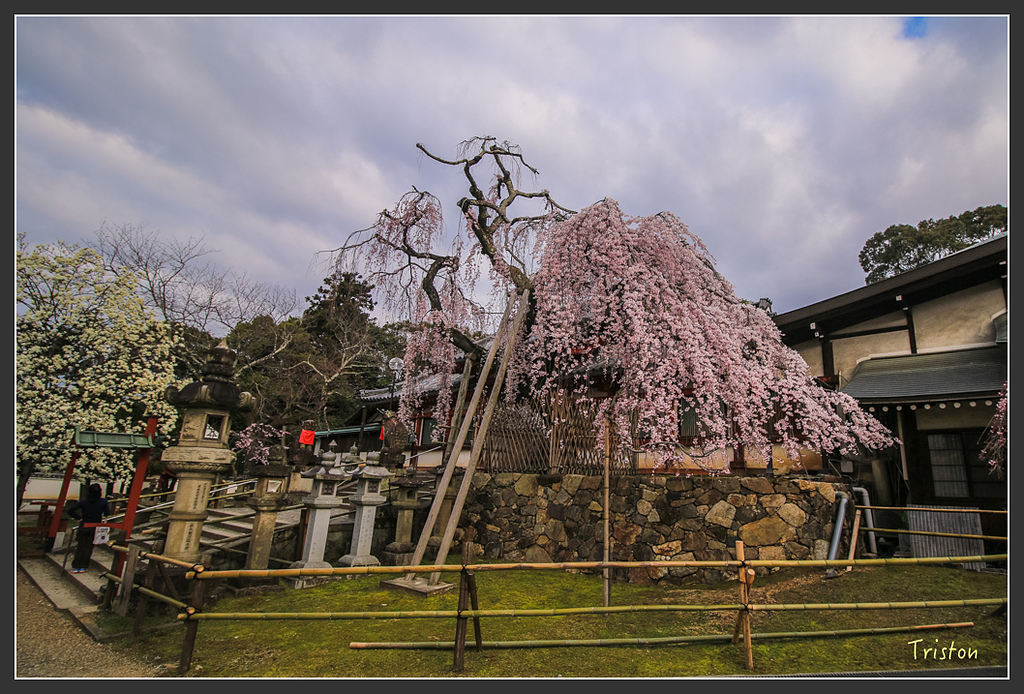 IMG_4300.jpg - 20160323 日本熊野古道健行