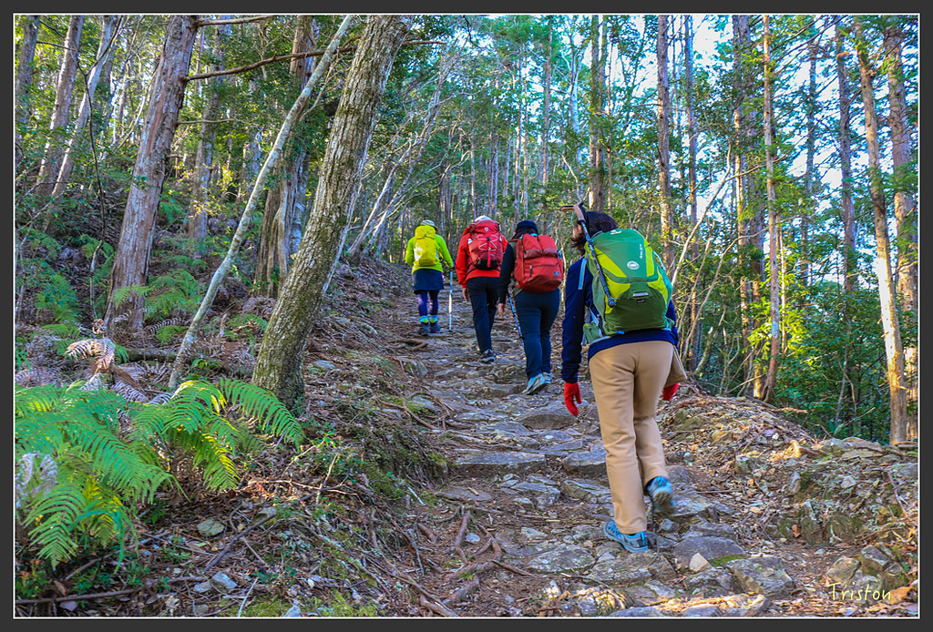 IMG_4637.jpg - 20160323 日本熊野古道健行