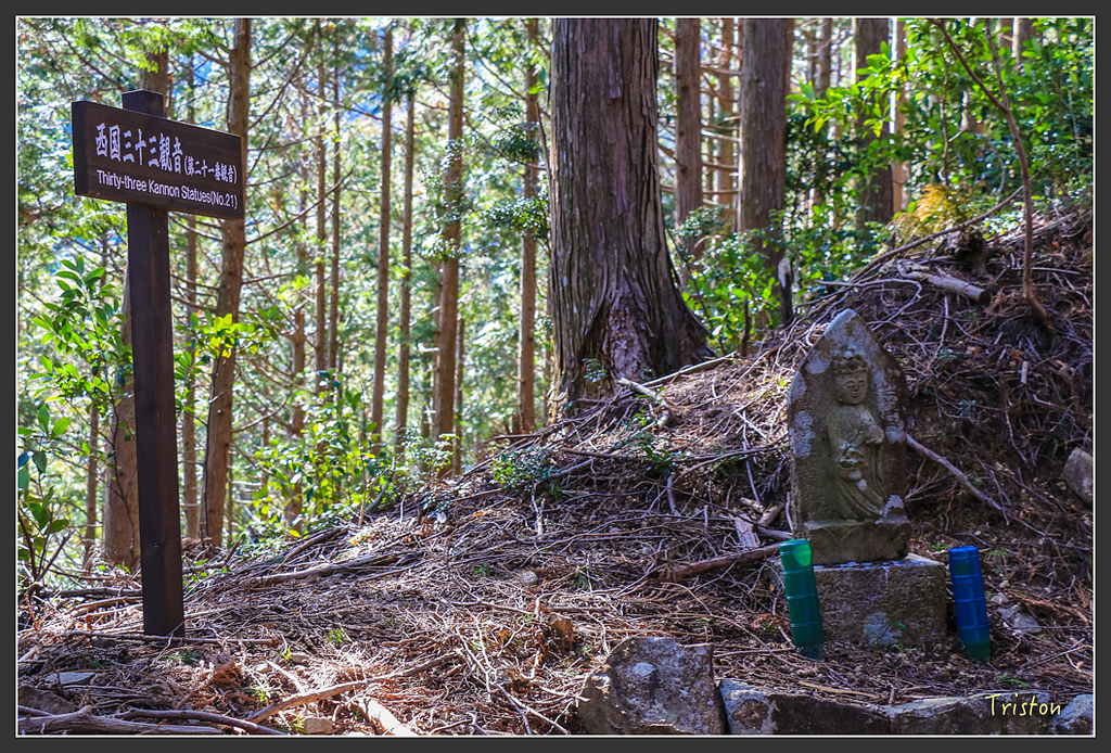 IMG_4697.jpg - 20160323 日本熊野古道健行