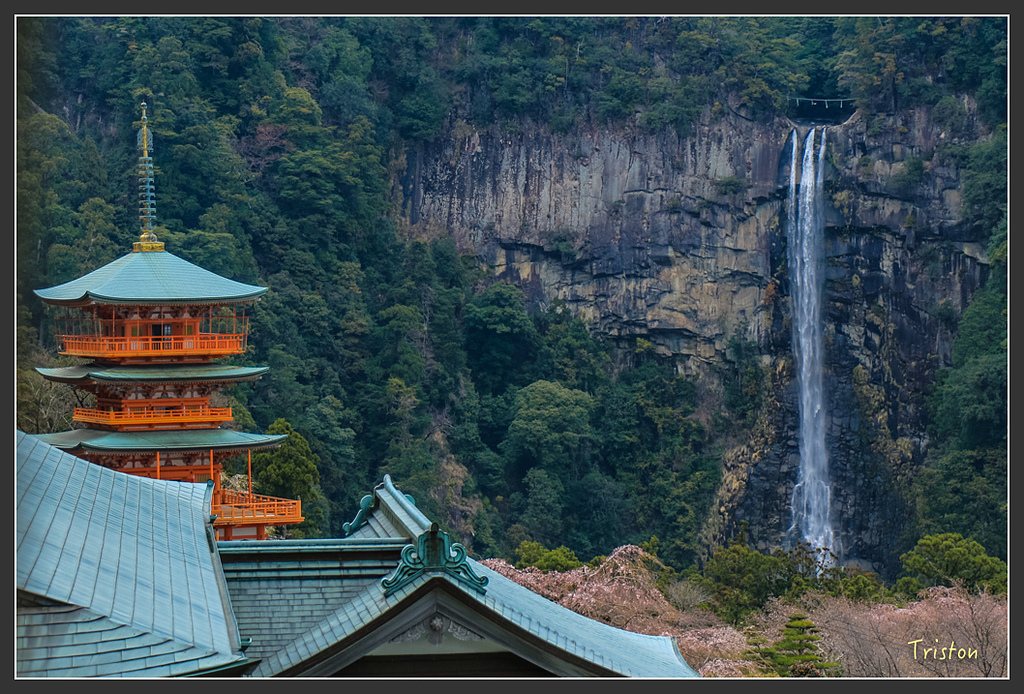 IMG_5626.jpg - 20160323 日本熊野古道健行